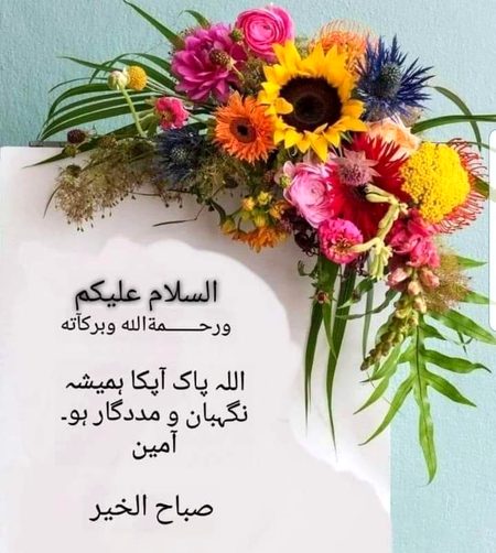 KOIE HY..G