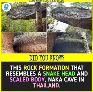 Did you Know