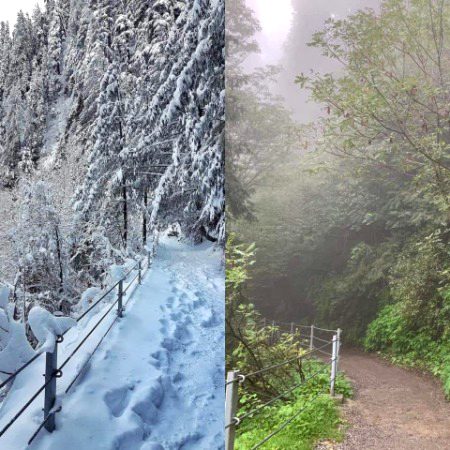 کچھ راستے منزلوں سے زیادہ خوبصورت ہوتے ہیں.
Pipeline track, Ayubia National Park ❄❤❄
