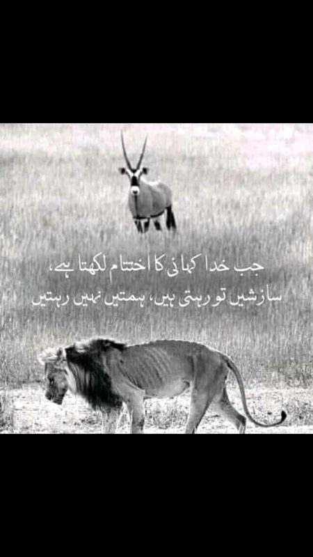 khudA ki zaaat bhht raheem h👍🏻👍🏻