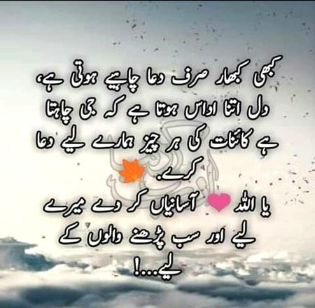 💕💕💕💕💖💖💖💞💞💞💞