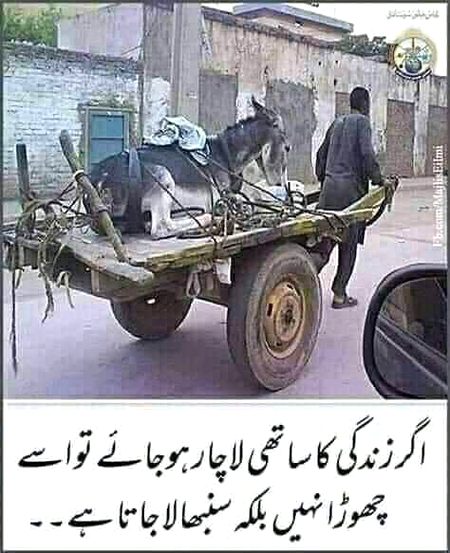 Agar sathi lachar hojain