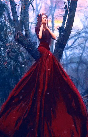 Photography 🦋🦋👑✨