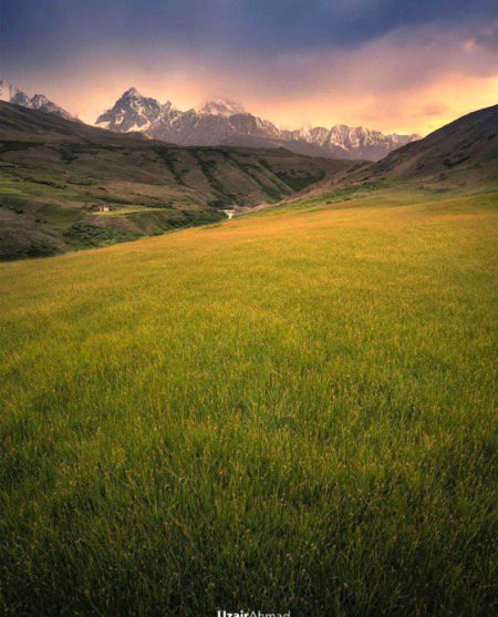 Beautiful Nature image