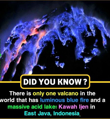 Did you know