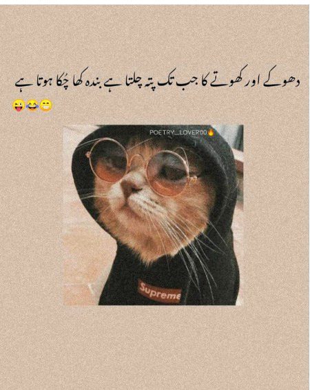 nhi yaqeen to lahoriyaoo sy pouch ly