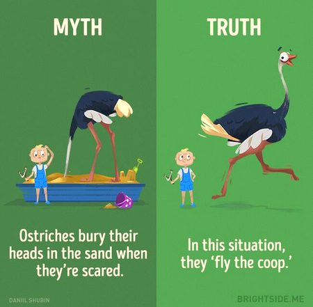 Did you Know