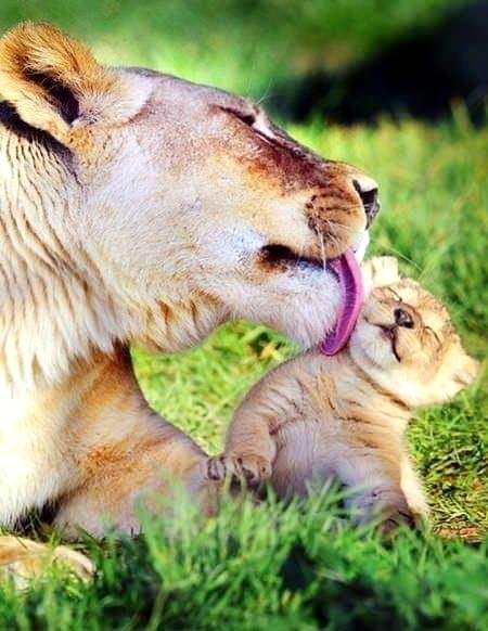 Priceless 💞😋💞