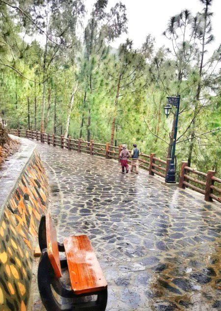 شملہ پہاڑی، ایبٹ آباد۔۔🌲🌧

Shimla Hills, Abbottabad after shower of rain 💕Have a chilly rainy morning⛈️🌨️❄️☔