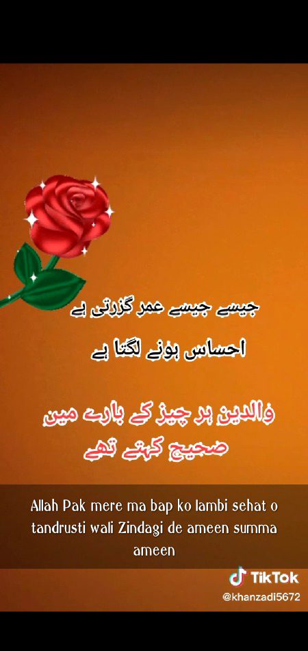 Ya Allah Sb K Waldin Ko Salamat rakhna 
Ameen🌹🌹