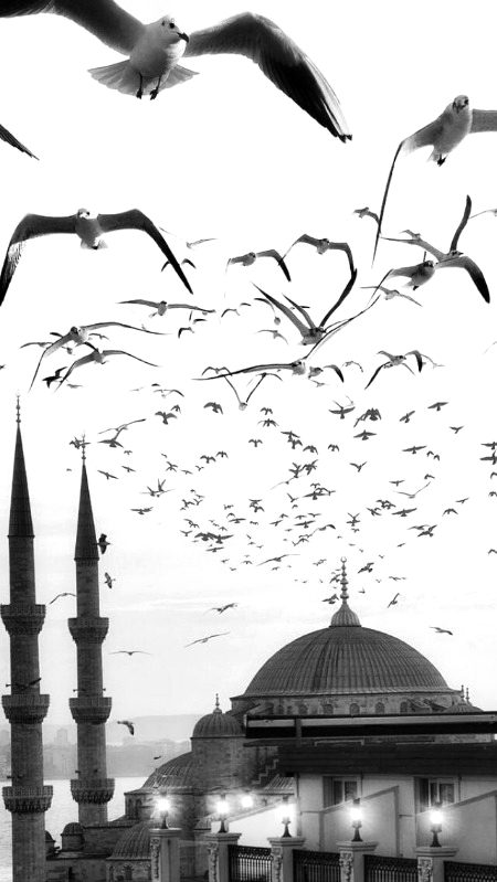 Beautiful Structures image