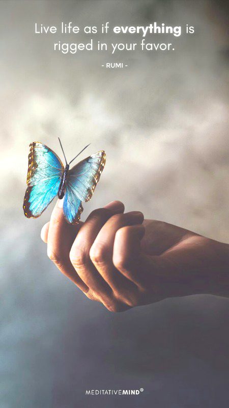 Deep one ..Damn truth