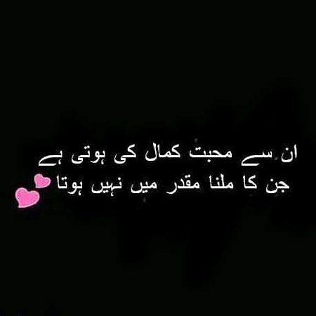 🍁Zoq_Shab🍁