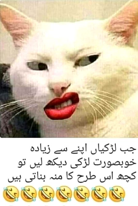 Jo bat h