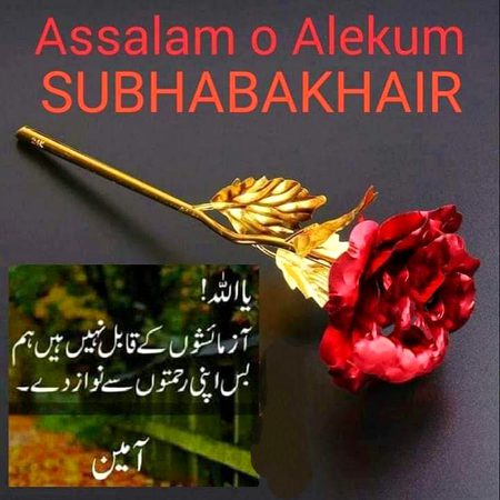 Ameen 🌸✍🌸