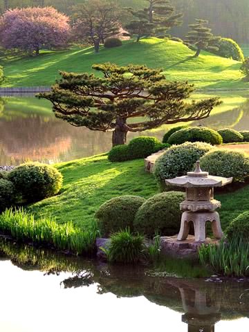 Amazing Place