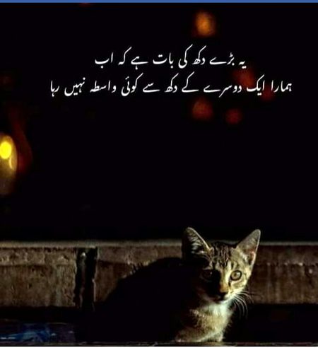 💕💕💕 $$$ 💕💕💕