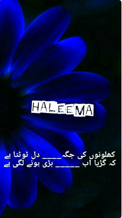 بہت کچھ بدل جاتا بڑے ہوتے ہی