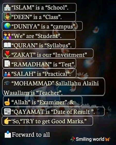 🌟🌟💕💕💕💕🌟🌟