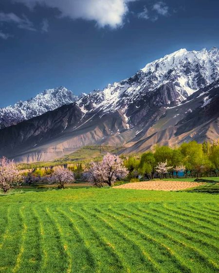 Beautiful Nature image