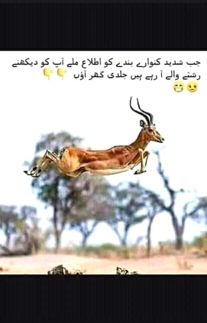 Such ha kia☺☺