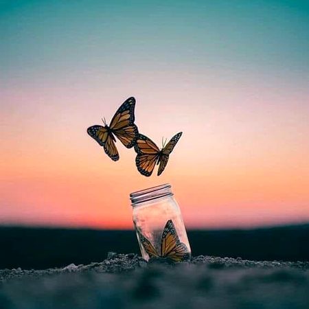 کچھ اندھیرے خود مٹانے پڑتے ہیں
😙😙
 مداوا  ہر تاریکی کا سورج نہیں ہوتا