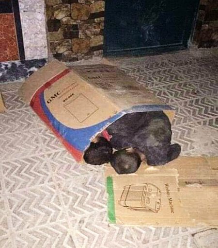 Log PhR unko KAFAN dety hn bmdrdi ka,Srd raton m Jo footpth p mar jty hnπ