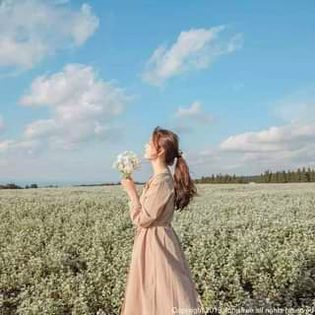 Tari dil farab chaow ma may aj thak Sa sooo jaow