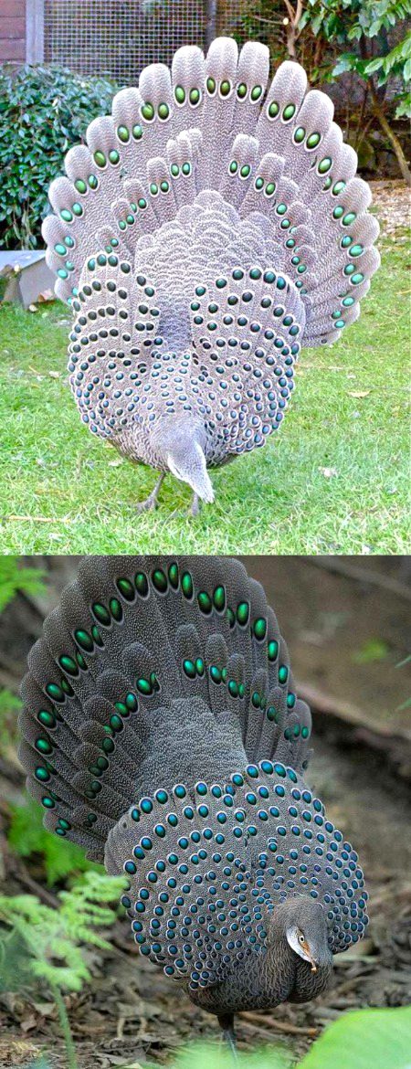 Beautiful Nature image