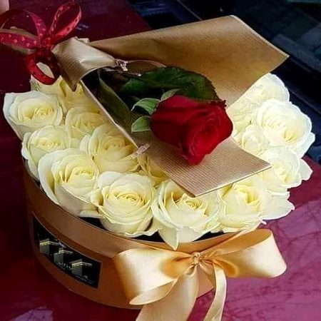 عورت چاند جیسی نہیں ہونی چاہیے جسے ہر کوئی بے نقاب دیکھے بلکہ عورت تو سورج جیسی ہونی چاہیے جسے دیکھنے سے پہلے نظریں جھک جائیں
 ❤️ For you umee😙😙😙