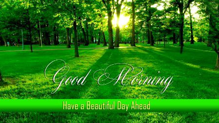 Have a nice day 💞 💞 💞