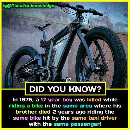 Did you Know