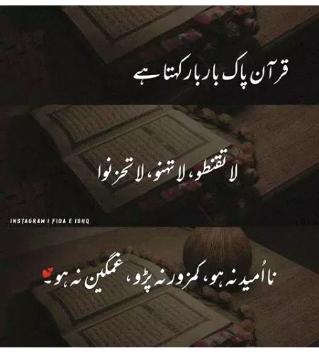 Beshak😴😴😴
