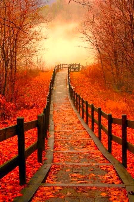 Amazing Place