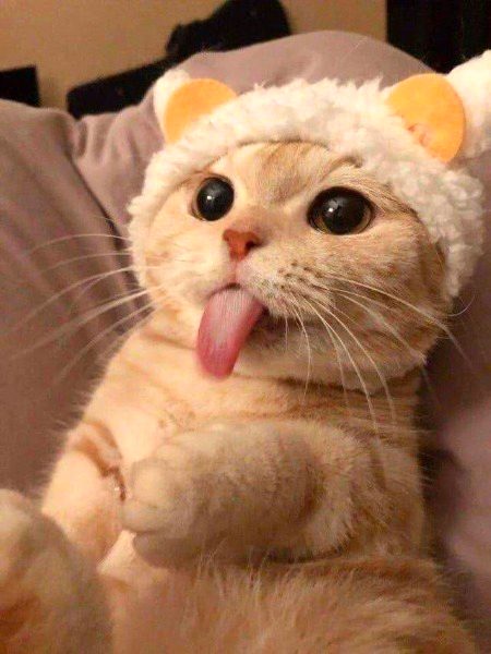 Henaaa cute..m