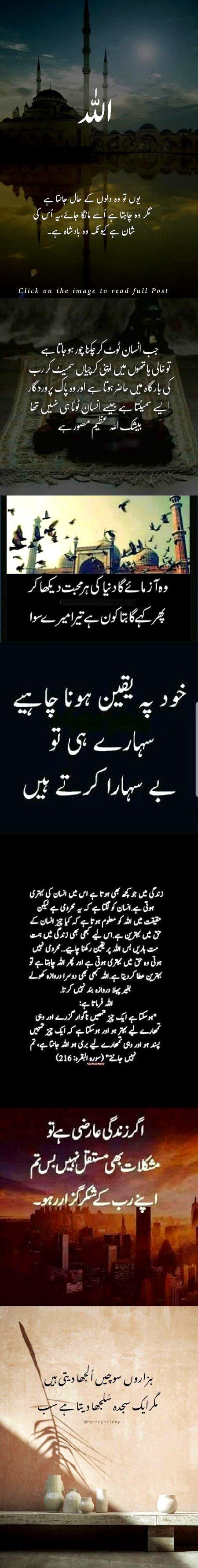 ....⁦❤️⁩⁦❤️⁩⁦❤️⁩....
