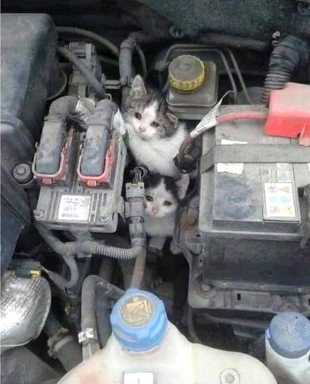 Waaah kia mast jaga dhondi hai.