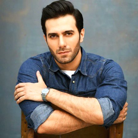 Pakistani Celebs image