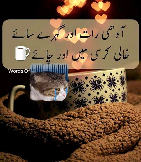 Main 👩🏻  or chai☕ 🍵😋 😋