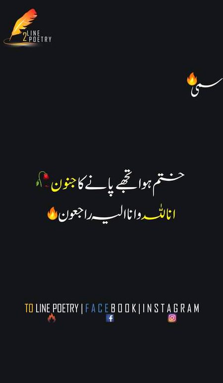 •||•^°°°^°^•||•