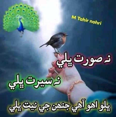 bikul theeeek bat h schiiii