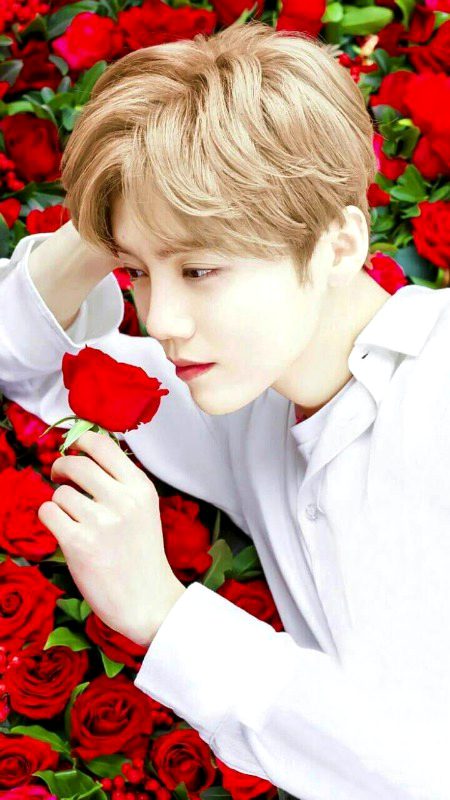 |°_°🦋°. ••||°⇶➧ PαGαl Sα βαCннα H∪ ↝ PαЯ DiL ❣ Sε SαCнα Hυ ↦ TнΘDα Sα 『αωαЯα』 Hυ ↣ PαЯ TεЯα Hi Deωαηα Hυ ➧
_____😘😘_____