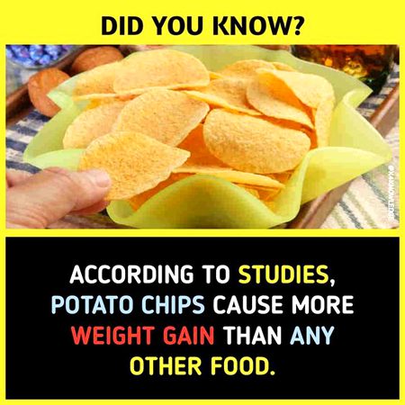 Did you Know