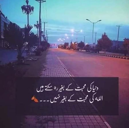 🍁Zoq_Shab🍁