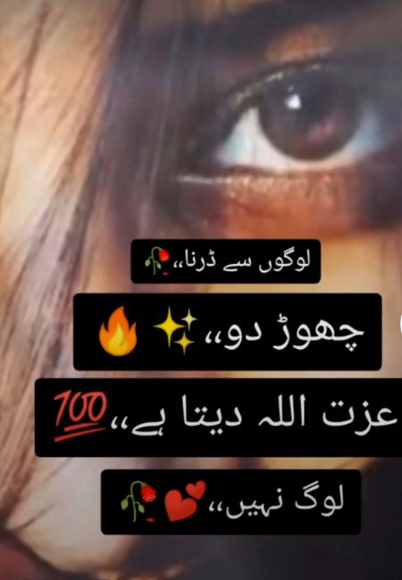 ....😻😻😻....