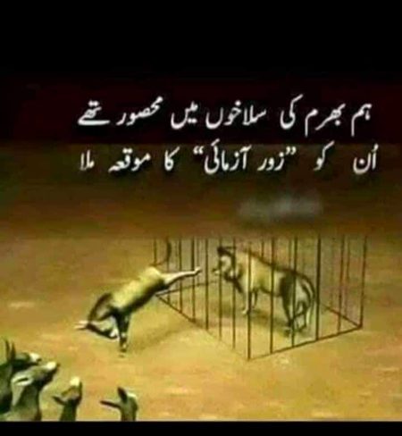 میرے دشمنو مجبور سہی مگر  ہارا  نہیں