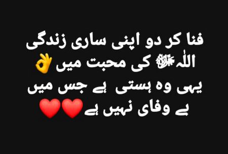 💕💕💕💖💖💕💕💕