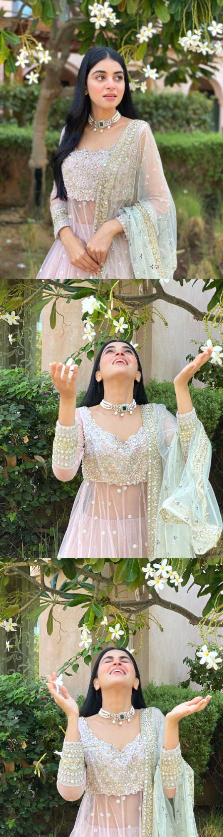 Pakistani Celebs image