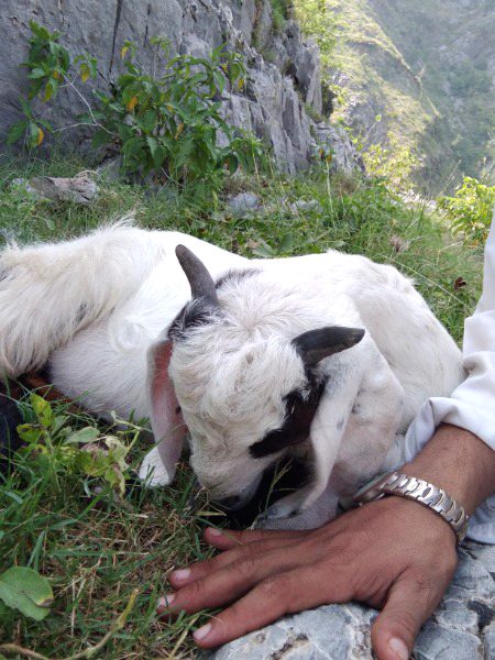 Ksi ny Leni hy tu contect key.l5