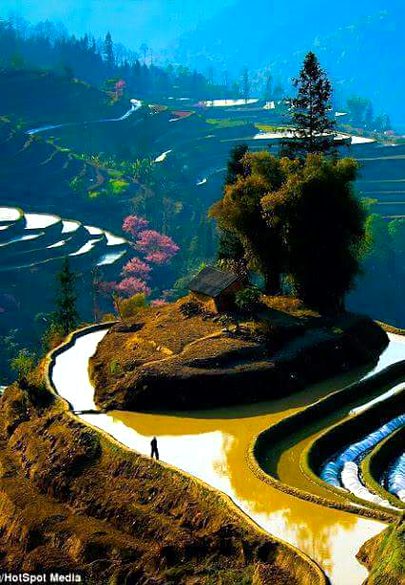 Beautiful Nature image